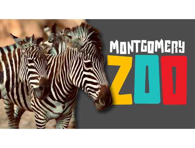 Montgomery Zoo: Zebra Birthday Party for 10! Unique & Fun !!