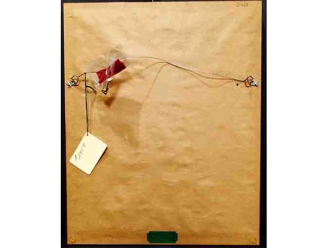 Antique, Framed Zoological Engraving with Latin and French scientific identifiers