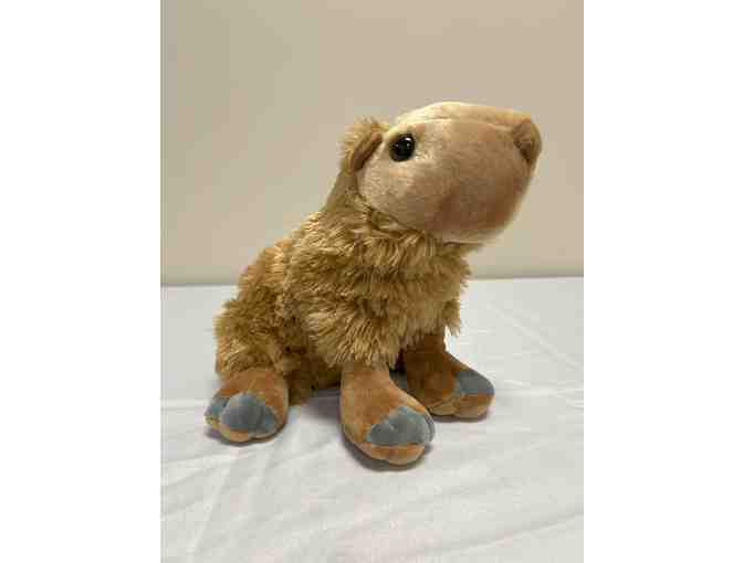 Animal Art -- created by the Montgomery Zoo's very own herd of Capybaras