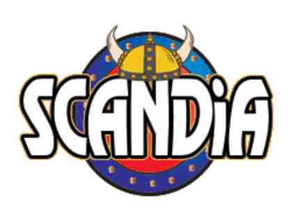 Scandia Family Fun Center