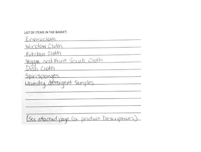 Norwex Kitchen Cleaning Basket