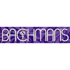 Bachman's