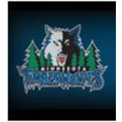 Minnesota Timberwolves Fastbreak Foundation