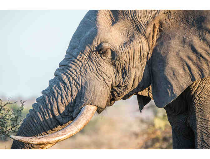 (1) Oakland Zoo Family Pass Day Pass