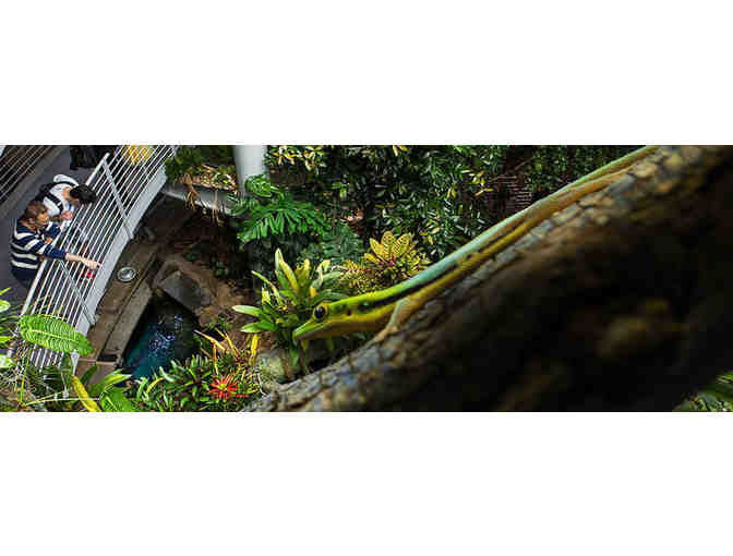 California Academy of Sciences Admission