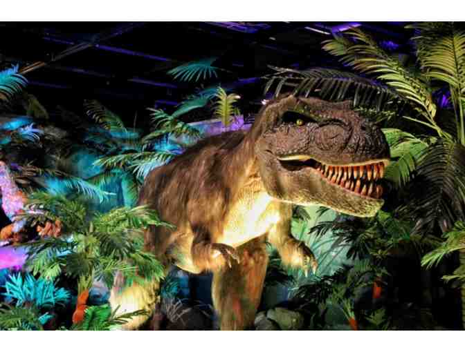 Philadelphia Getaway: 6 VIP Tickets to the Academy of Natural Sciences