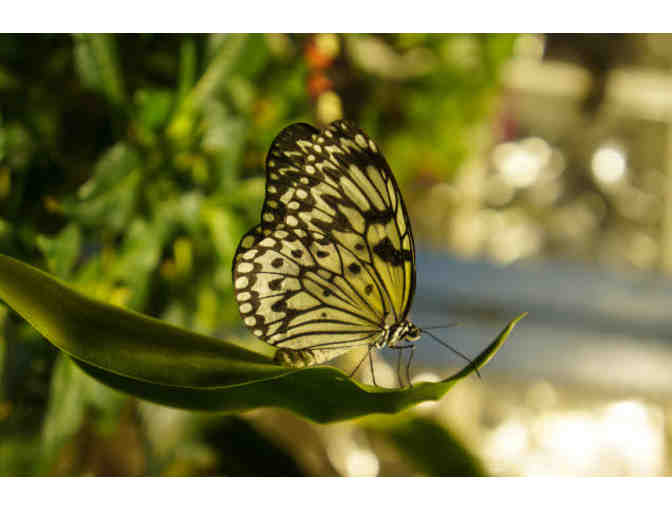 Philadelphia Getaway: 6 VIP Tickets to the Academy of Natural Sciences