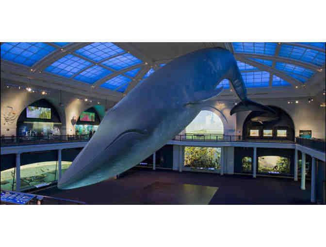 Museum of Natural History - Family Membership