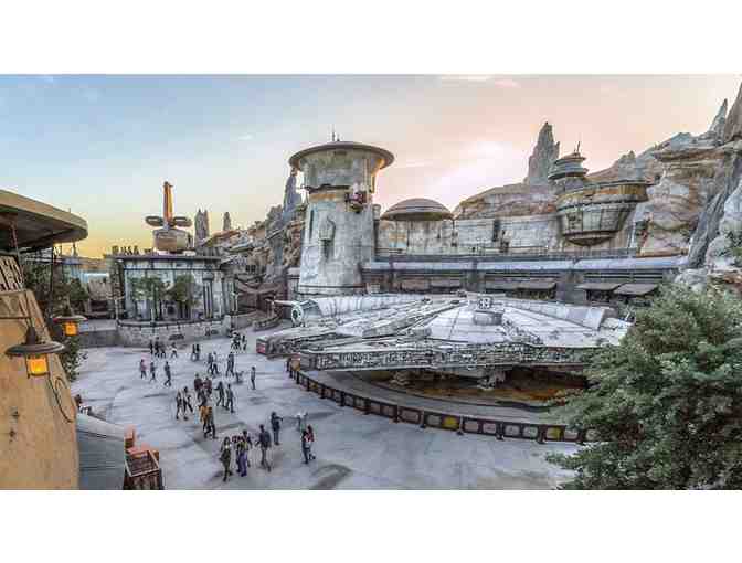 Disney Theme Park Passes: 4 Tickets to the Magic!