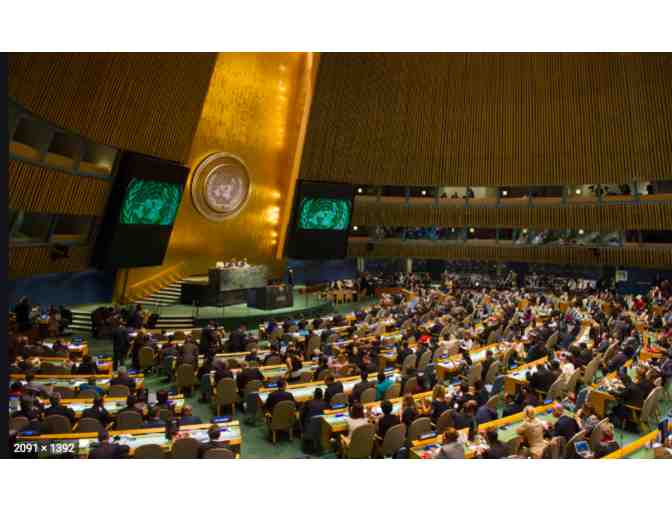 Insider's Tour of United Nations & Lunch for Two at the Delegates Dining Room