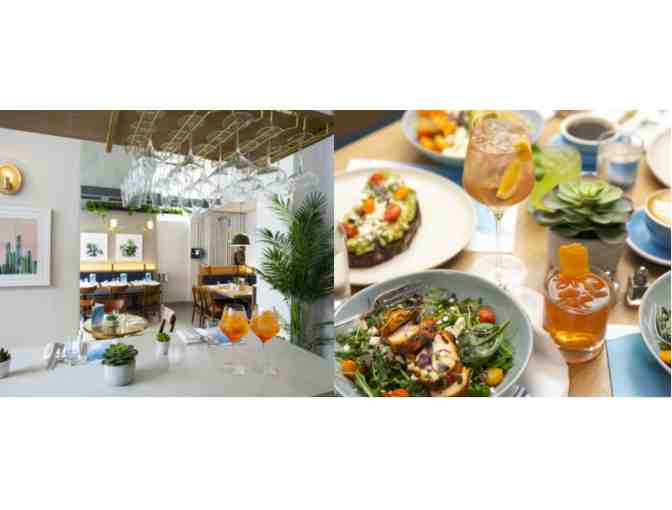 Bluestone Lane $50 to Dine