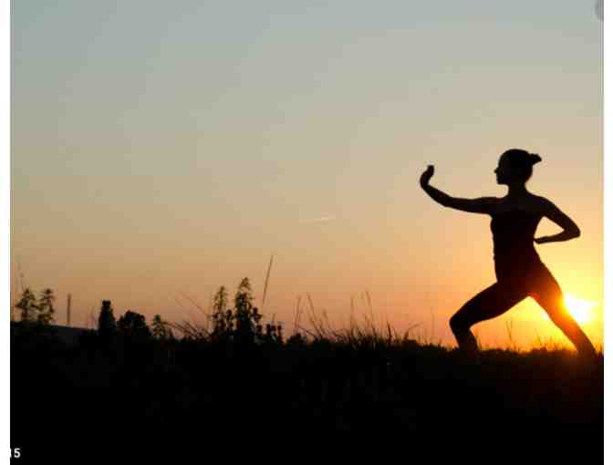 QiGong: Two Private Sessions in Client's Home with Muna Tseng