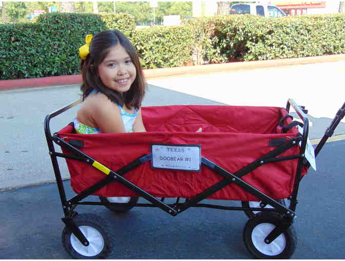 Naming Rights to MDA Summer Camp Wagon