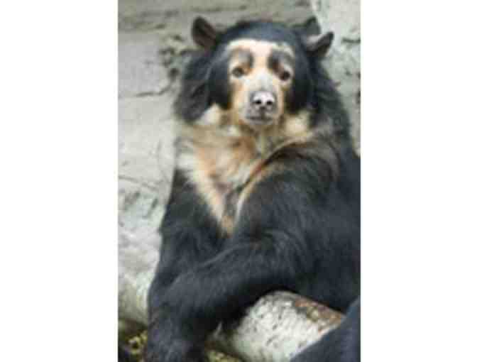 Family Level Membership to the Houston Zoo