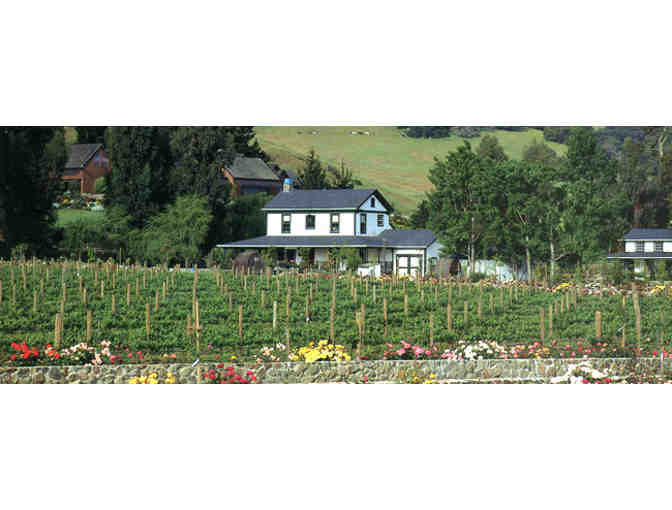 VIP Winery Tour and Tasting at Cline Cellars Vineyards