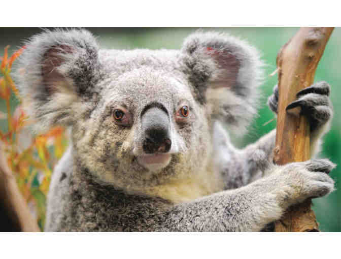 A Day at the San Francisco Zoo for Two