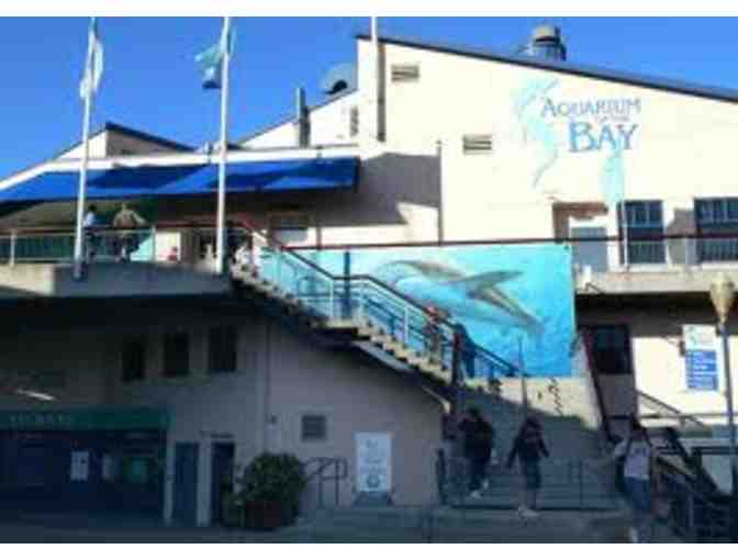 Pier 39 Fun Pack