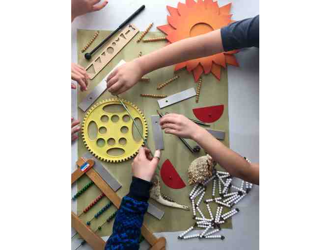 'Large Scale Cyanotypes' - by the Redwood Room