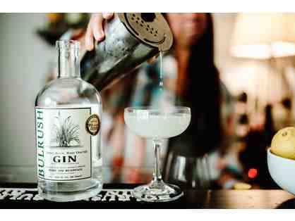 Bulrush Gin Cocktail Class