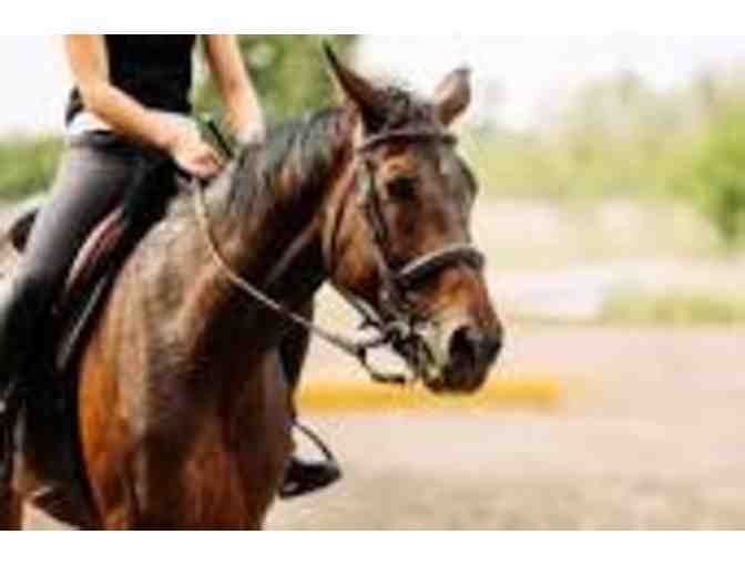 Moss Creek Stables-3 Horseback Riding Lessons