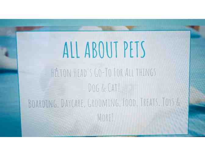 Treat Your Pup with a All About Pets Gift Certificate and Toy