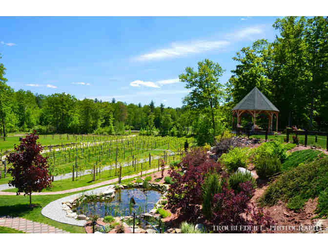 Zorvino Vineyards, NH - Tour & Wine Tasting for 20