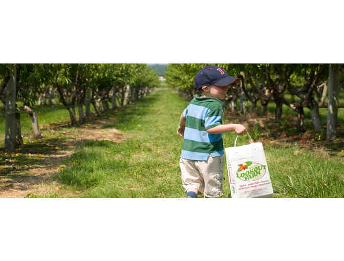 Belkin Family Lookout Farm - 4 Day Passes