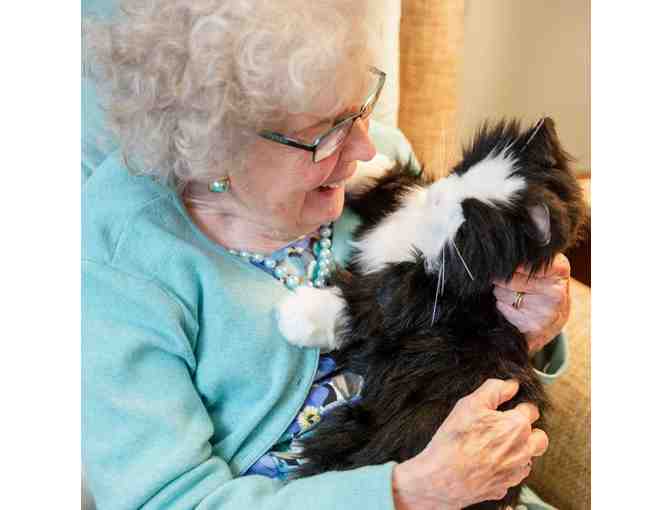 Lifelike Robotic Pet by Joy For All