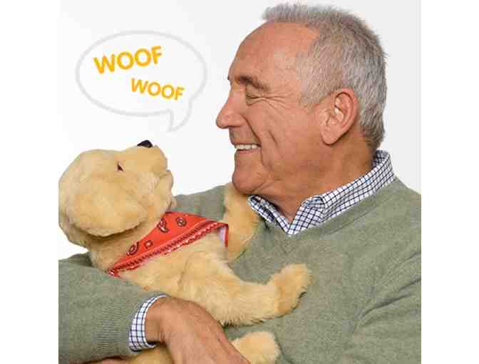 Lifelike Robotic Pet by Joy For All