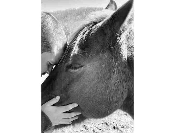 One Private Individual Session at The Equine Experience at Will Rogers State Historic Park