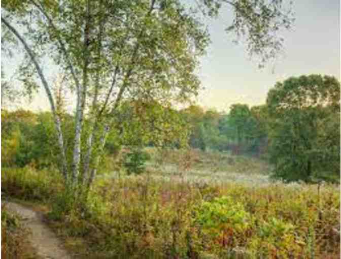 Wissahickon Field Ecology Course