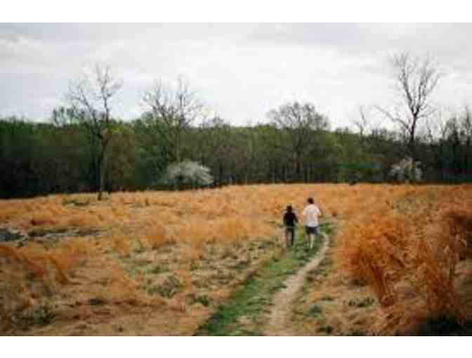 Wissahickon Field Ecology Course