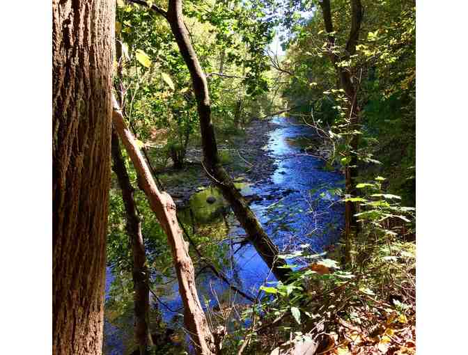 2 Omer Guides by Susan Windle