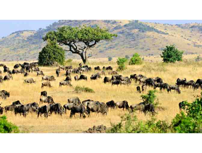 Wild Kenya 5 Night African Safari Experience for 2