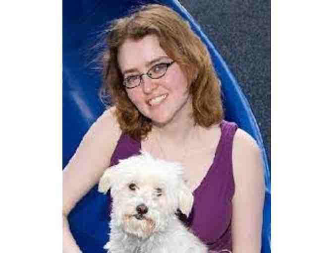 Wings of Fire - Complete set of 19 signed books - by Author, Tui Sutherland