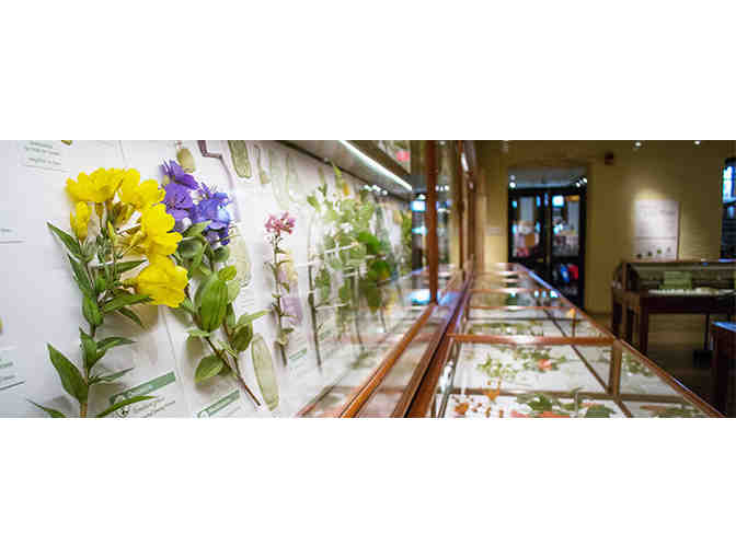 Mad about Science Gift Extravaganza