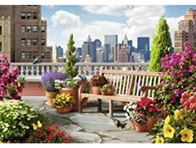 Cozy Family Fun with the Barefoot Contessa, chenille throw, FOMU, games and treats