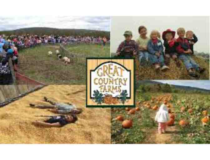 Bluemont Vineyard/Dirt Farm Brewing/Great Country Farms Experience Package
