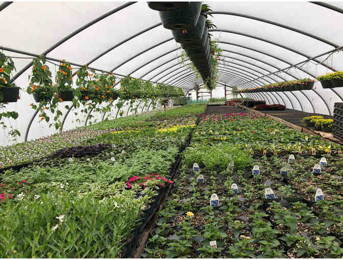 Stamp Farms $50 Gift Certificate