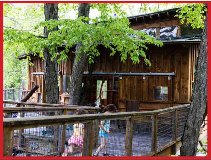 Discovery Museum--Admission Pass for 4