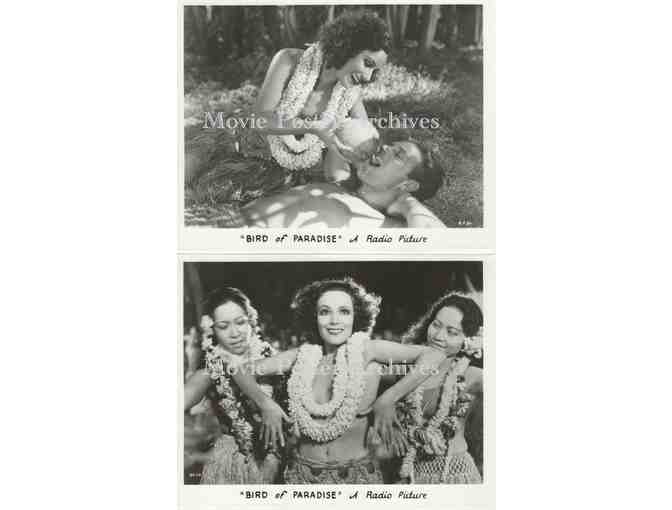 BIRD OF PARADISE, 1932, 8x10 Stills, Dolores Del Rio, Joel McCrea, John Halliday, Lon Chaney Jr.