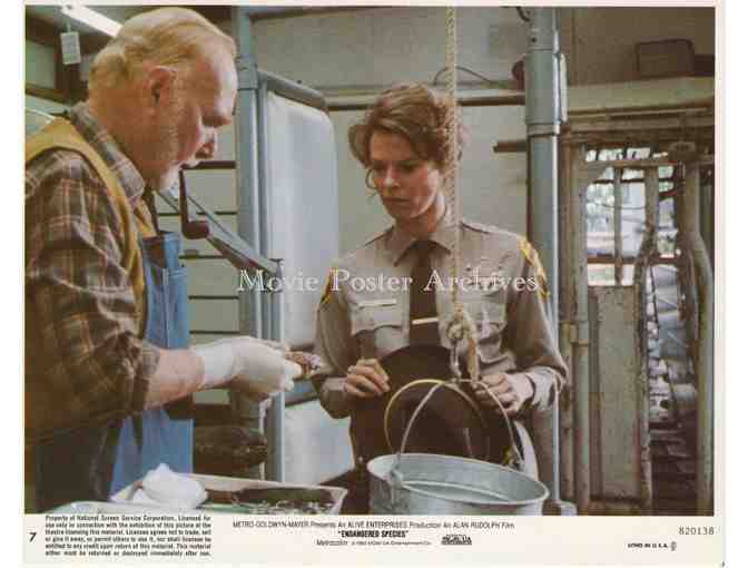 ENDANGERED SPECIES, 1982, Mini Lobby Cards, Robert Urich, JoBeth Williams, Hoyt Axton