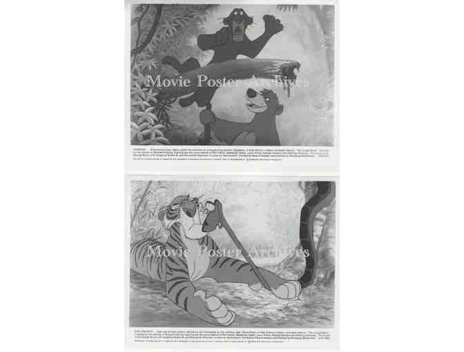 JUNGLE BOOK, 1967, 8x10 production stills, Walt Disney animated feature film