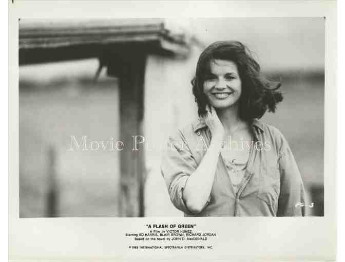 FLASH OF GREEN, A 1985 8x10 still set, Ed Harris, Blair Brown, Richard Jordan,