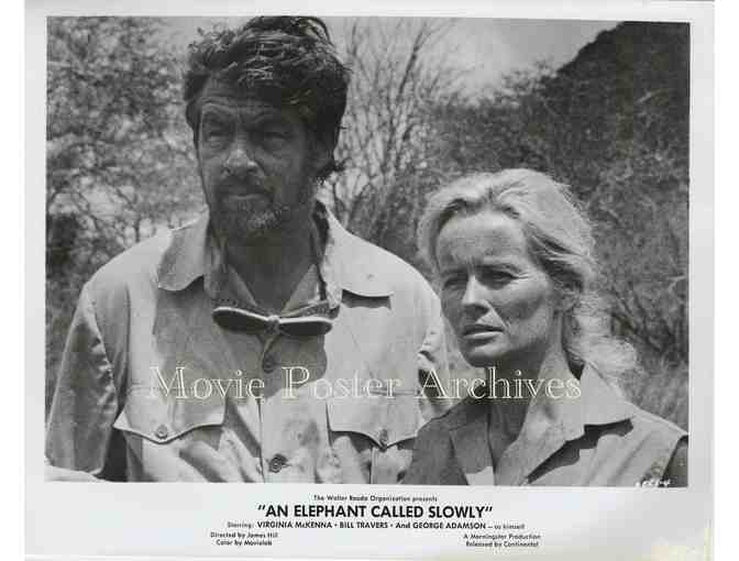 ELEPHANT CALLED SLOWLY, 1969 8x10 still set, Virginia McKenna, Bill Travers.
