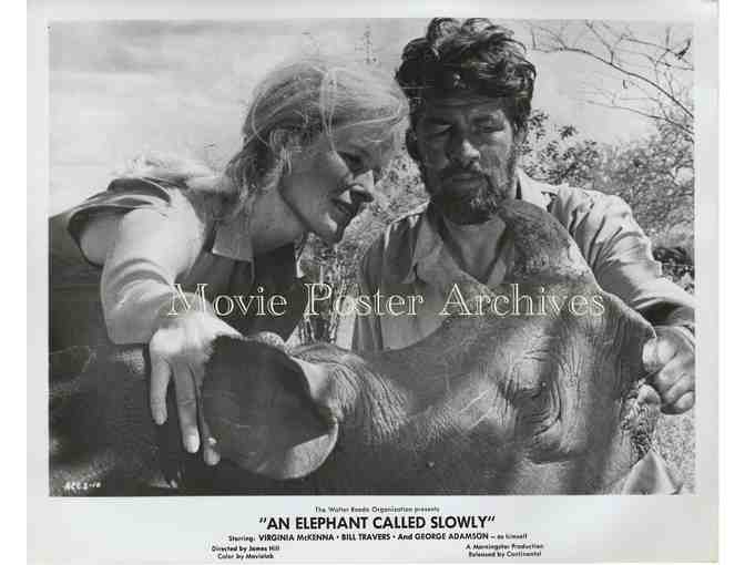 ELEPHANT CALLED SLOWLY, 1969 8x10 still set, Virginia McKenna, Bill Travers.