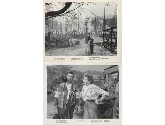 EGG AND I, 1947, 8x10 production stills, Fred MacMurray, Claudette Colbert