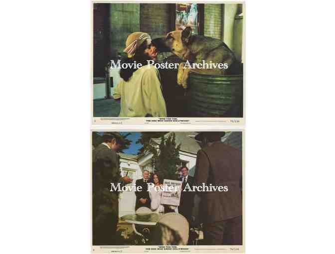 WON TON TON: THE DOG WHO SAVED HOLLYWOOD, 1976, 8x10 studio stills, Madeline Kahn