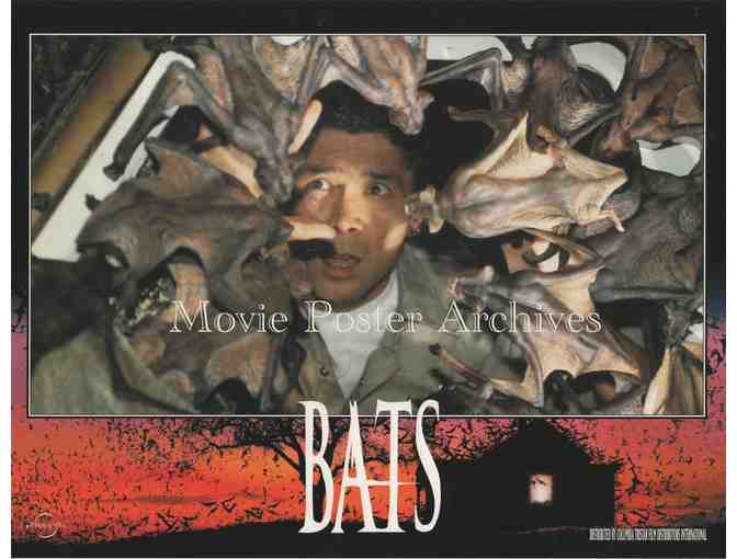 BATS, 1999, lobby card set, Lou Diamond Phillips, Dina Meyer, Bob Gunton