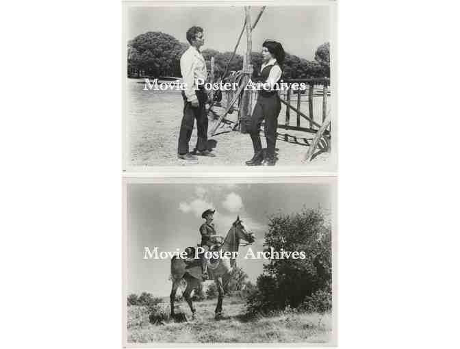 RUSS TAMBLYN, group of black and white classic celebrity portraits, stills or photos